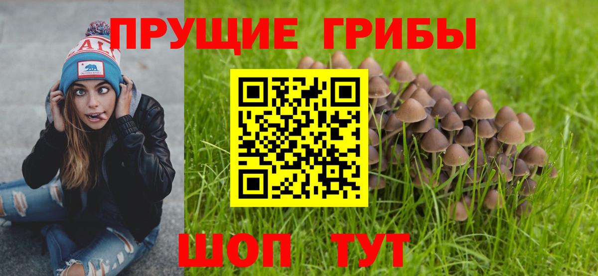 Псилоцибиновые грибы мухоморы  Галлюциногенные грибы мицелий  Вход с VPN  Тимашёвск 