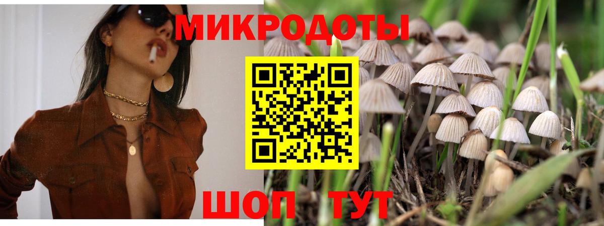 Псилоцибиновые грибы ЛСД Тимашёвск